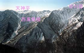 siragamon-03a.jpg(11629 byte)