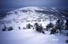 aduma-ski-01s.jpg(1763 byte)
